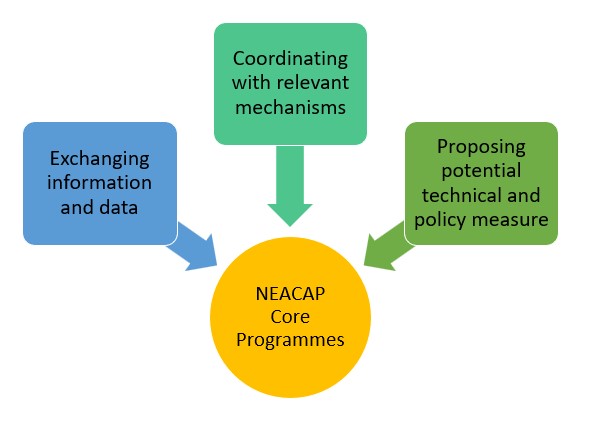 NEACAP Core programmes_revised