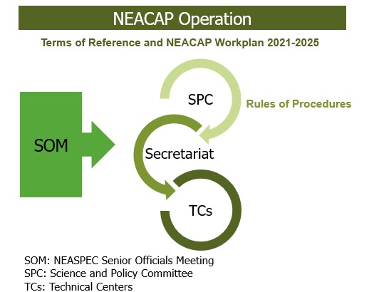 NEACAP Operation_revised