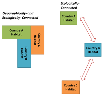 Ecological activity