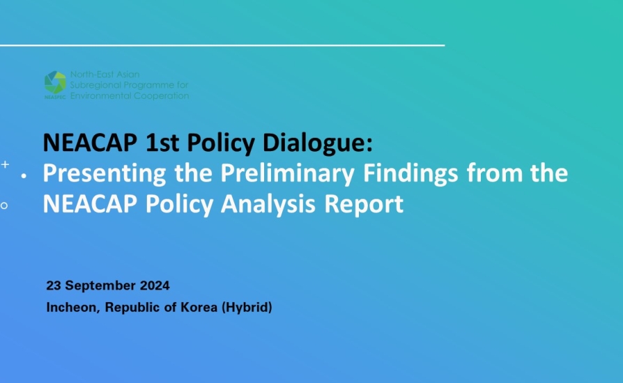 NEACAP First Policy Dialogue 