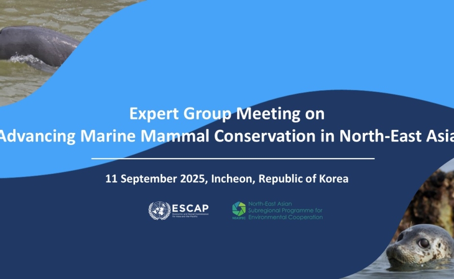 EGM on marine mammals