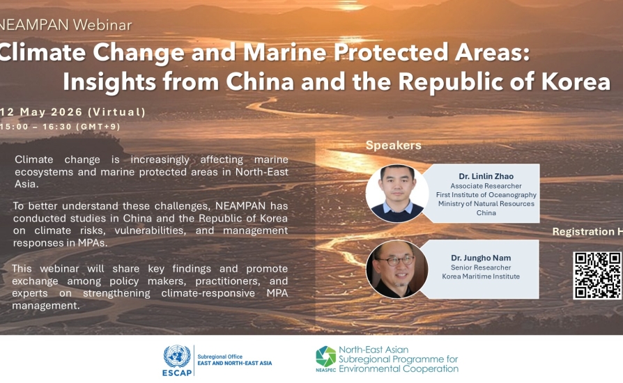 NEAMPAN webinar 2026