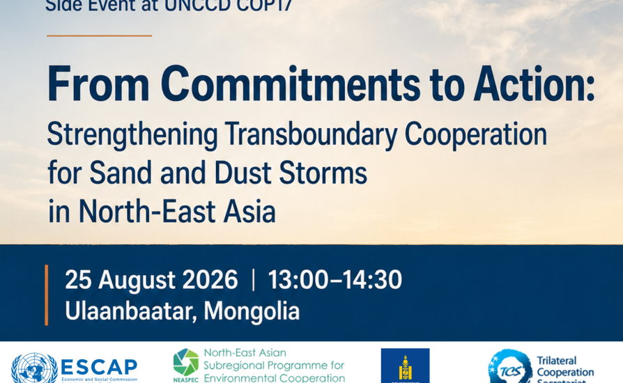 COP17 SDS Side Event 