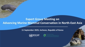 EGM on marine mammals