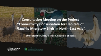 consultation