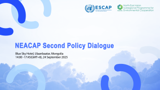 NEACAP 2nd Policy Dialogue 