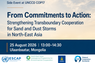 COP17 SDS Side Event 
