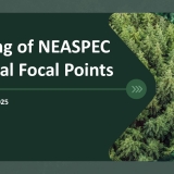 NFP_2025