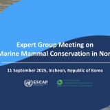 EGM on marine mammals